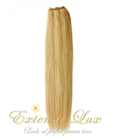 Extensii de par cusute Blond Aluna #12